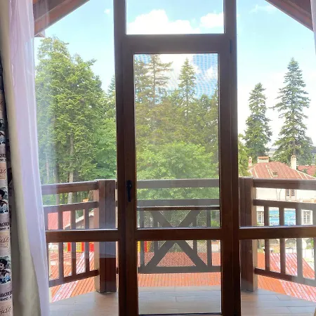 호텔 아이스 앤젤스 4*