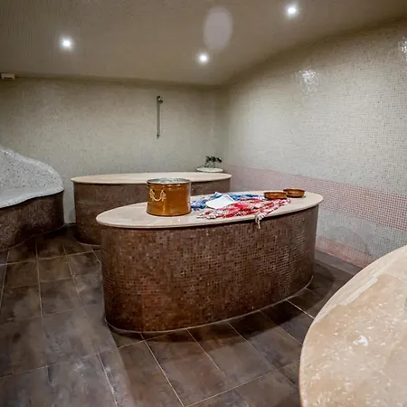 아이스 앤젤스 4* 보로베츠