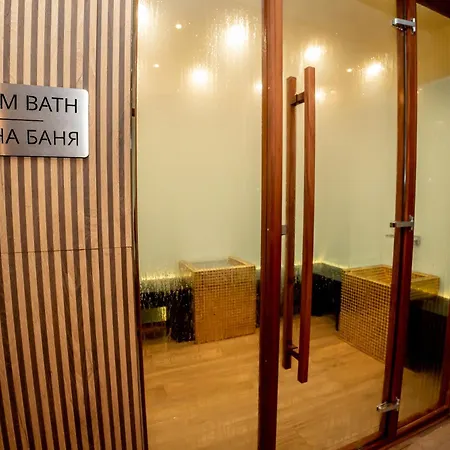 아이스 앤젤스 보로베츠