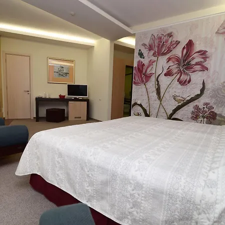 호텔 아이스 앤젤스 4*